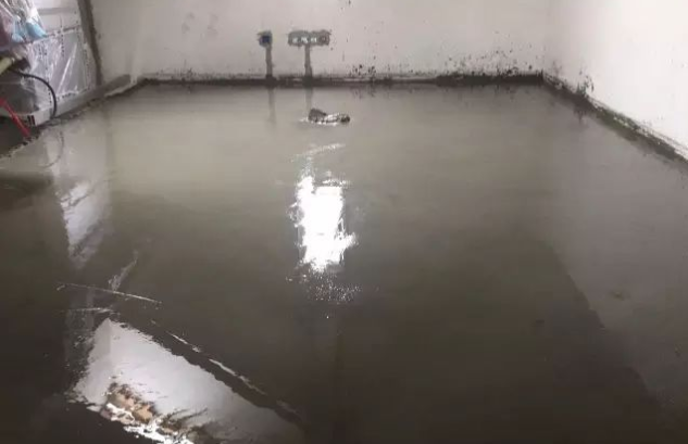 ůʯ
